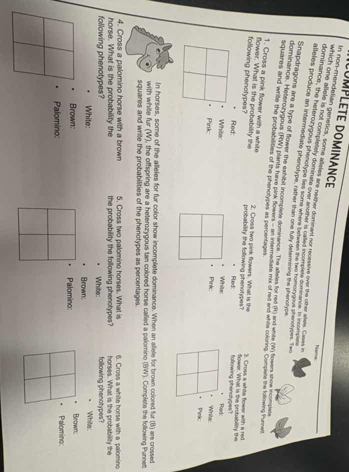 incomplete dominance name: in non - complete dominance, some alleles wh…