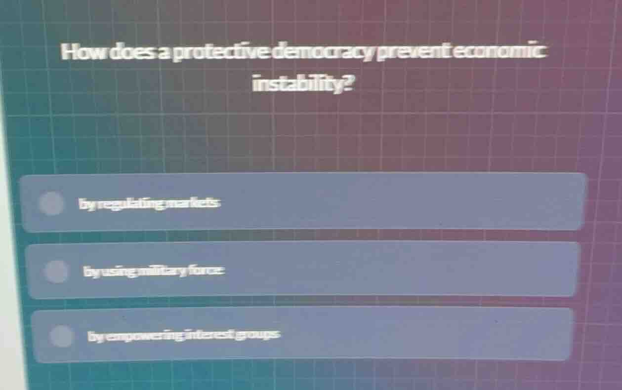 how does a protective democracy prevent economic instability? by regula…