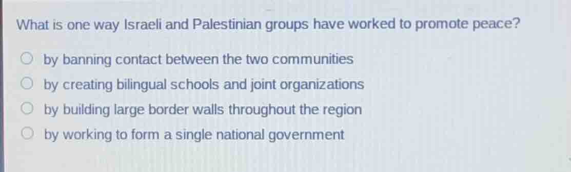 what is one way israeli and palestinian groups have worked to promote p…
