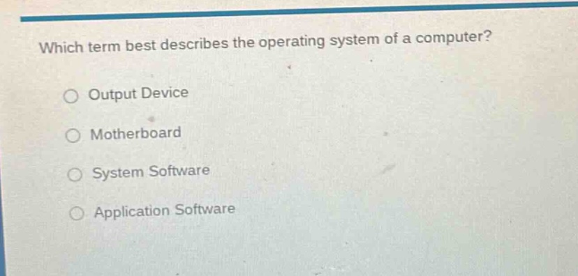 which term best describes the operating system of a computer? output de…