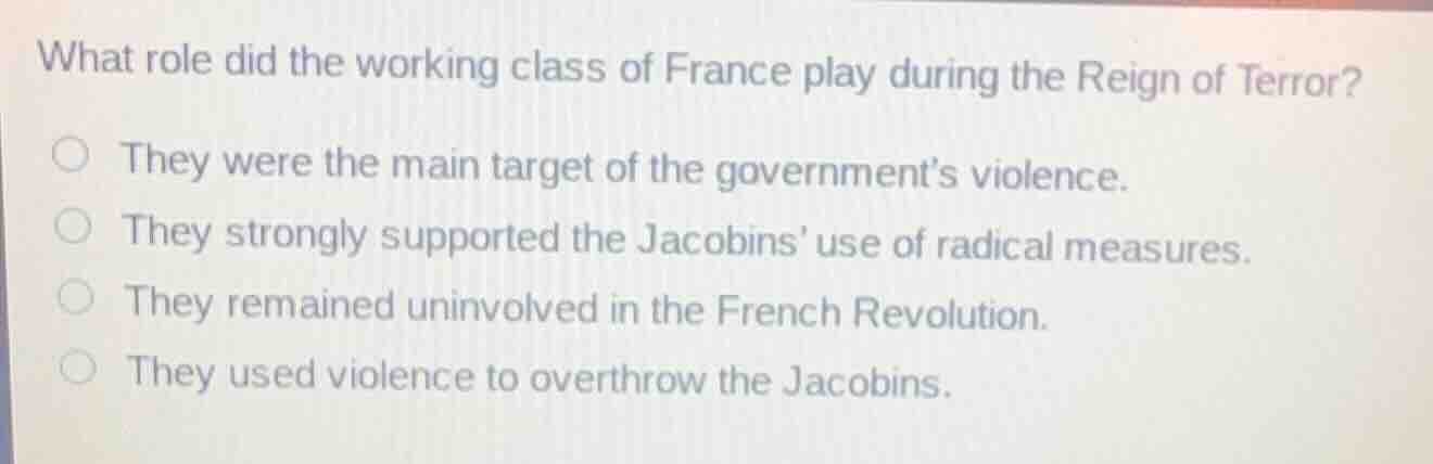 what role did the working class of france play during the reign of terr…