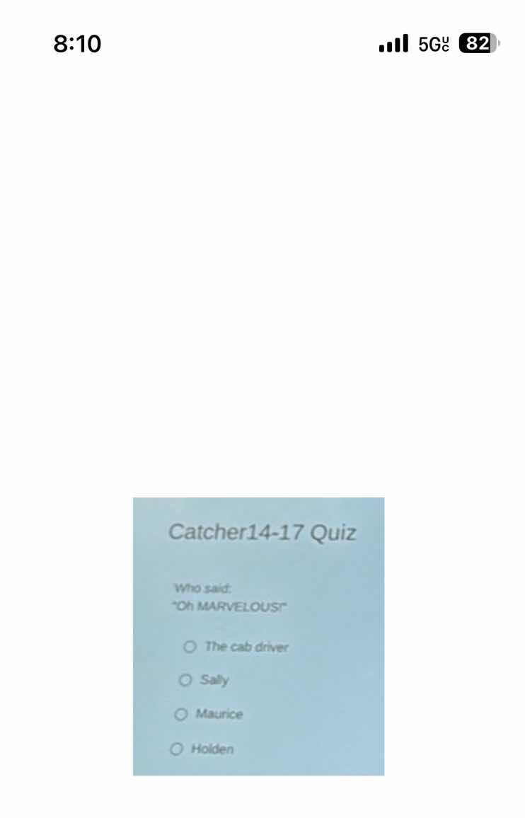 catcher14-17 quiz who said: \oh marvelous!\ the cab driver sally mauric…