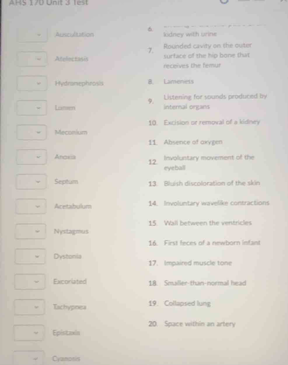 ahs 170 unit 3 test 6. kidney with urine 7. rounded cavity on the outer…