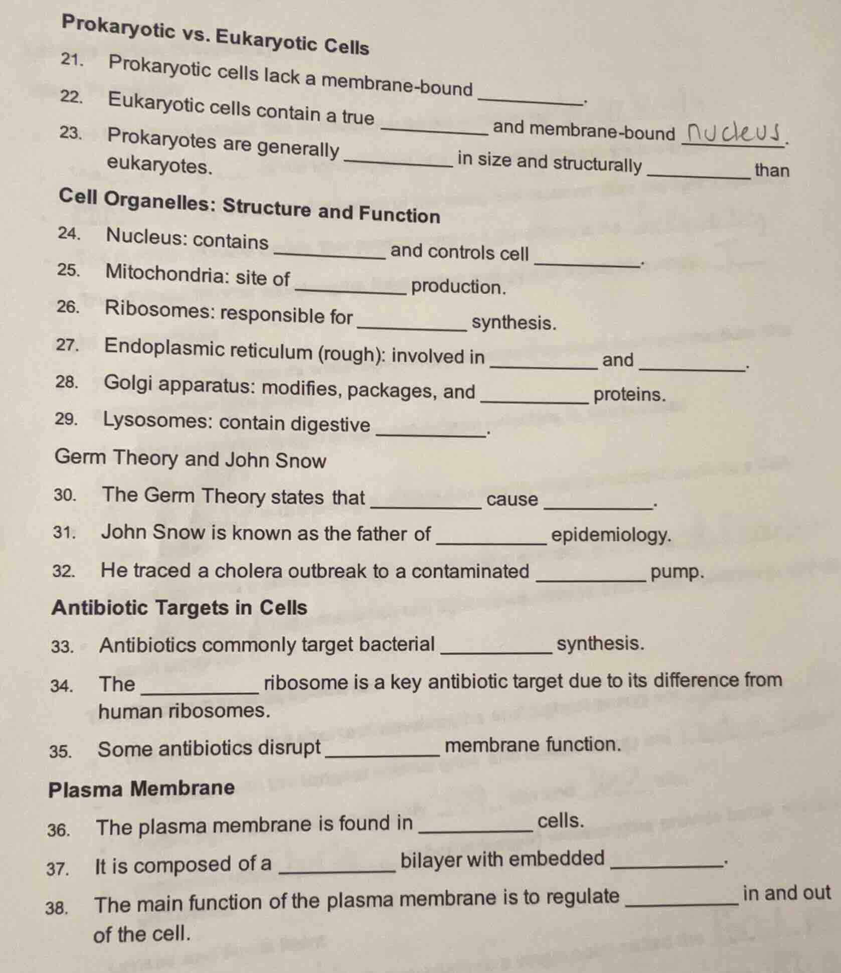 prokaryotic vs. eukaryotic cells 21. prokaryotic cells lack a membrane …