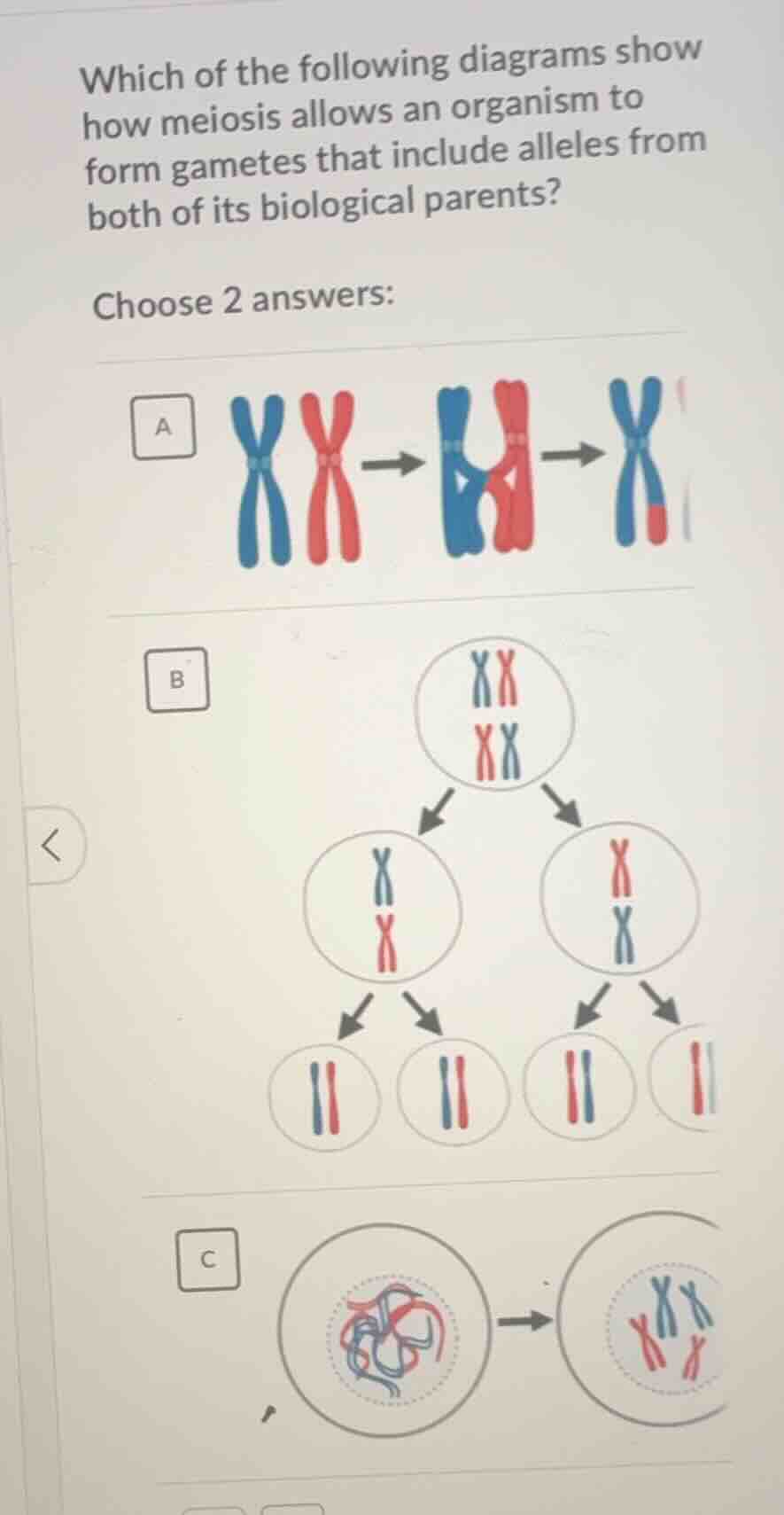 which of the following diagrams show how meiosis allows an organism to …