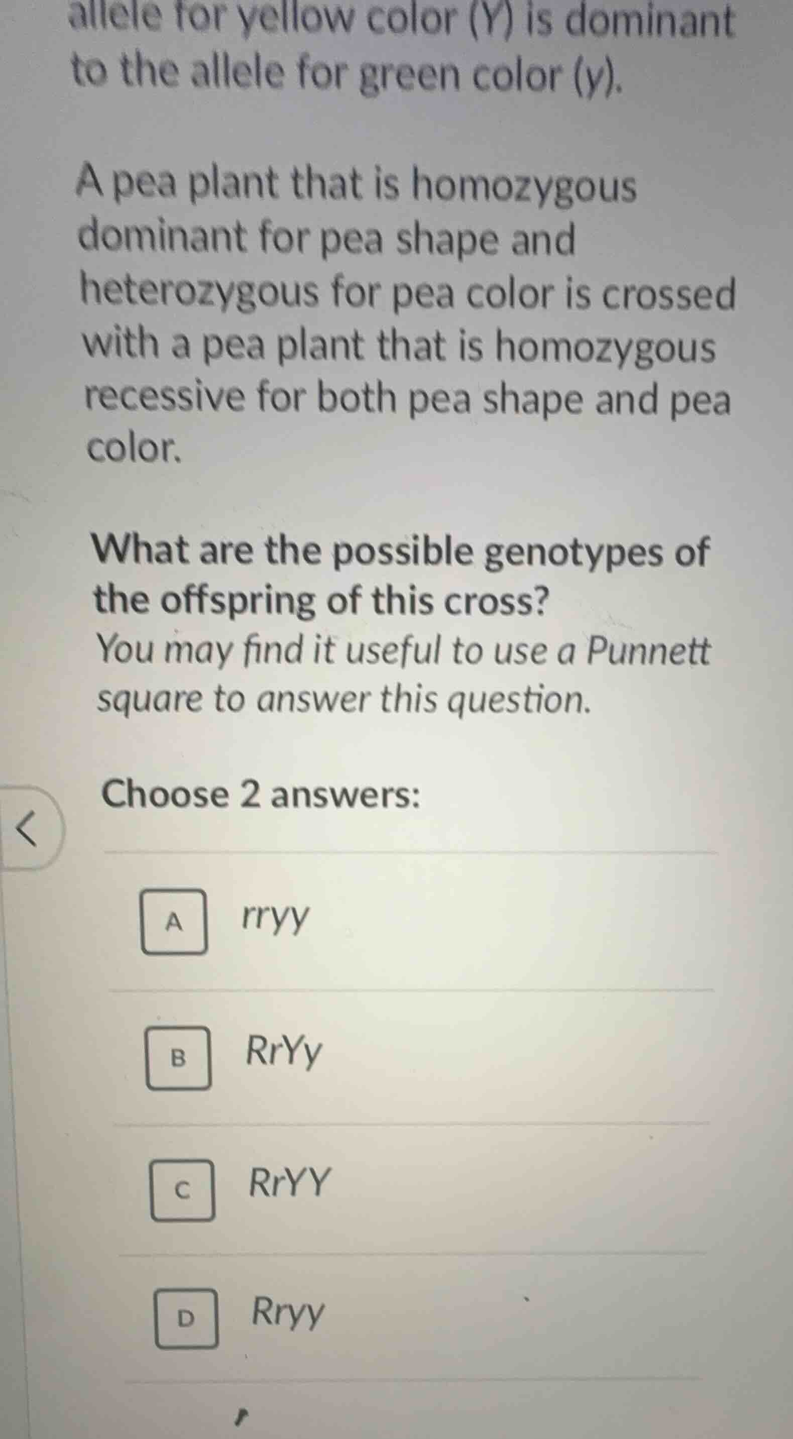 allele for yellow color (y) is dominant to the allele for green color (…
