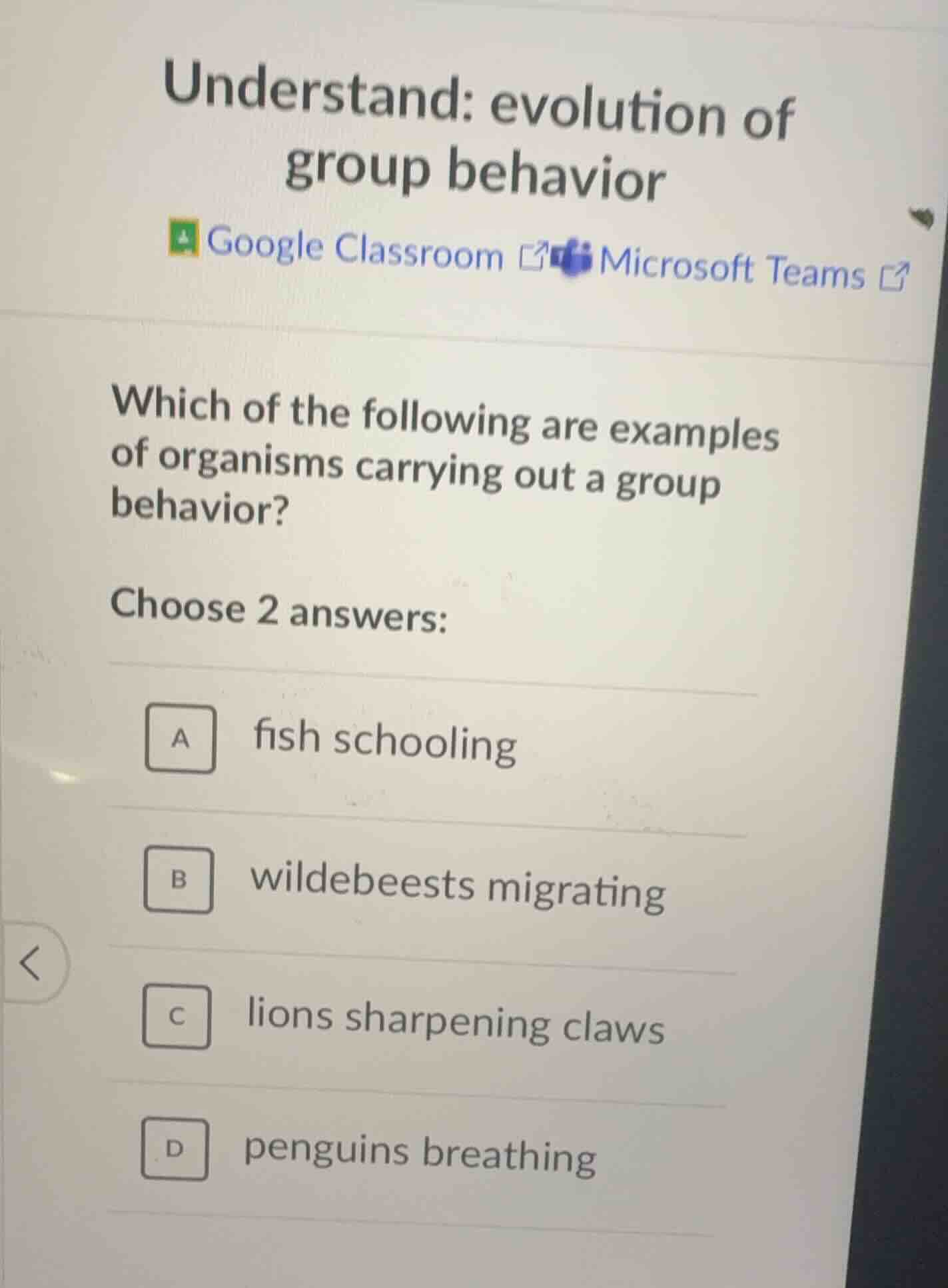 understand: evolution of group behavior google classroom microsoft team…
