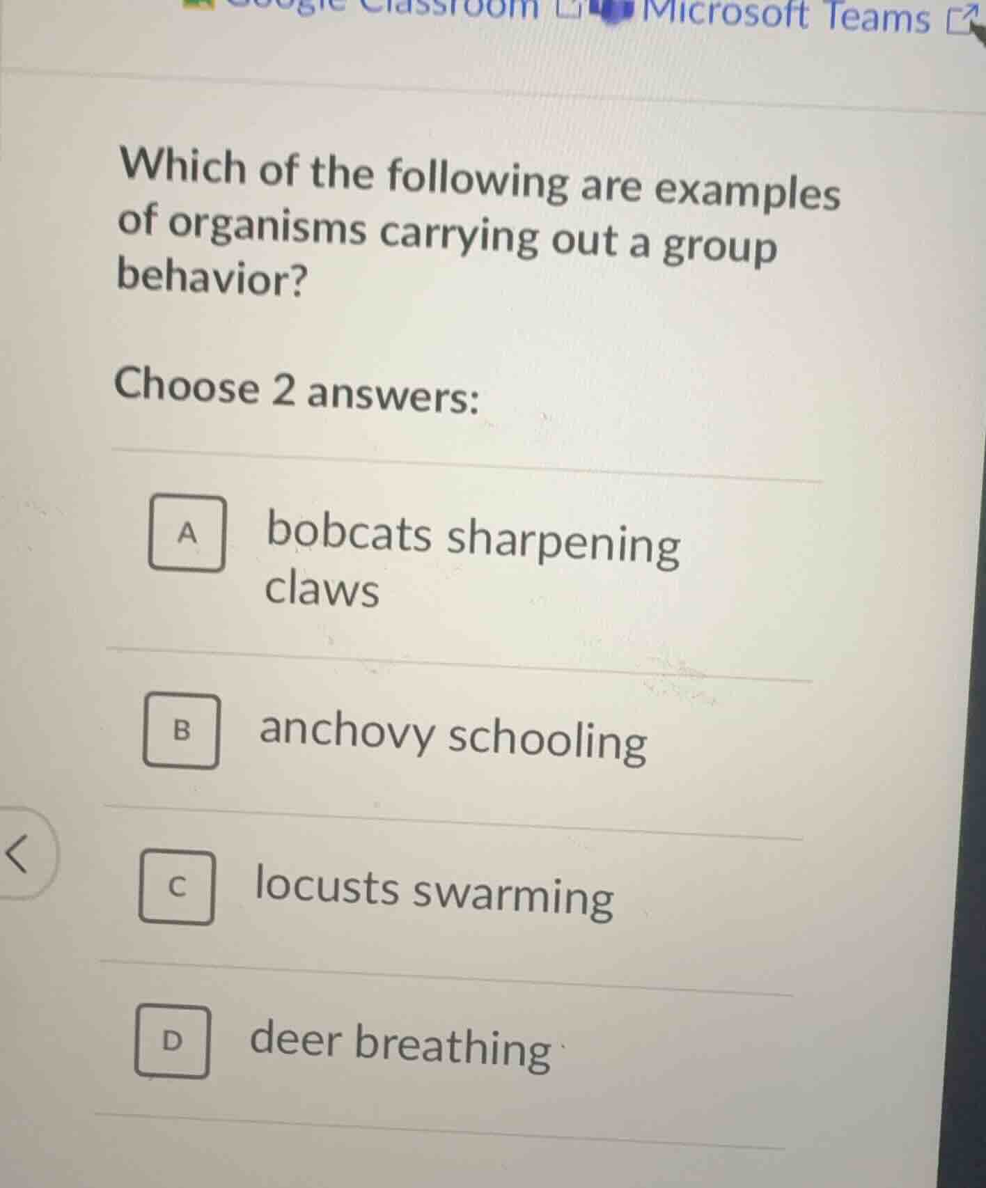 which of the following are examples of organisms carrying out a group b…