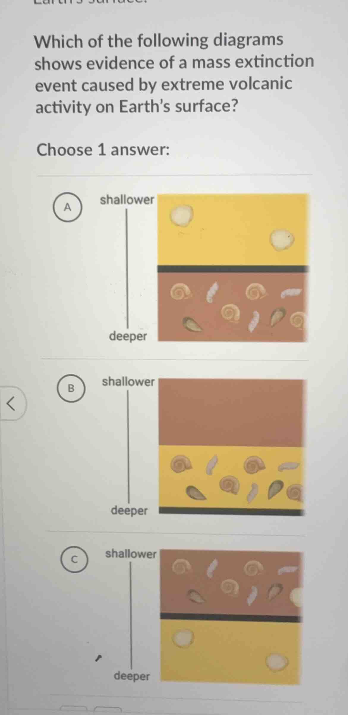 which of the following diagrams shows evidence of a mass extinction eve…