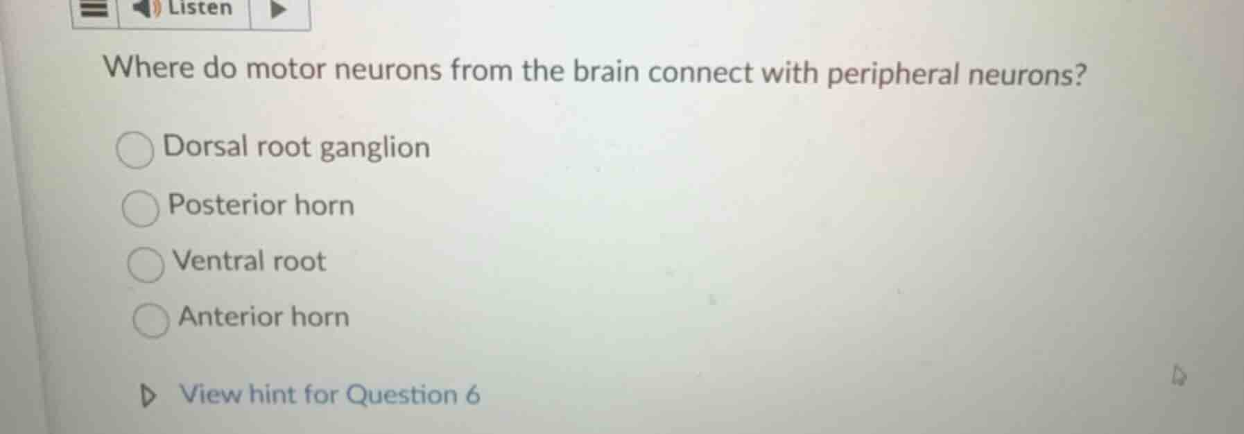where do motor neurons from the brain connect with peripheral neurons? …
