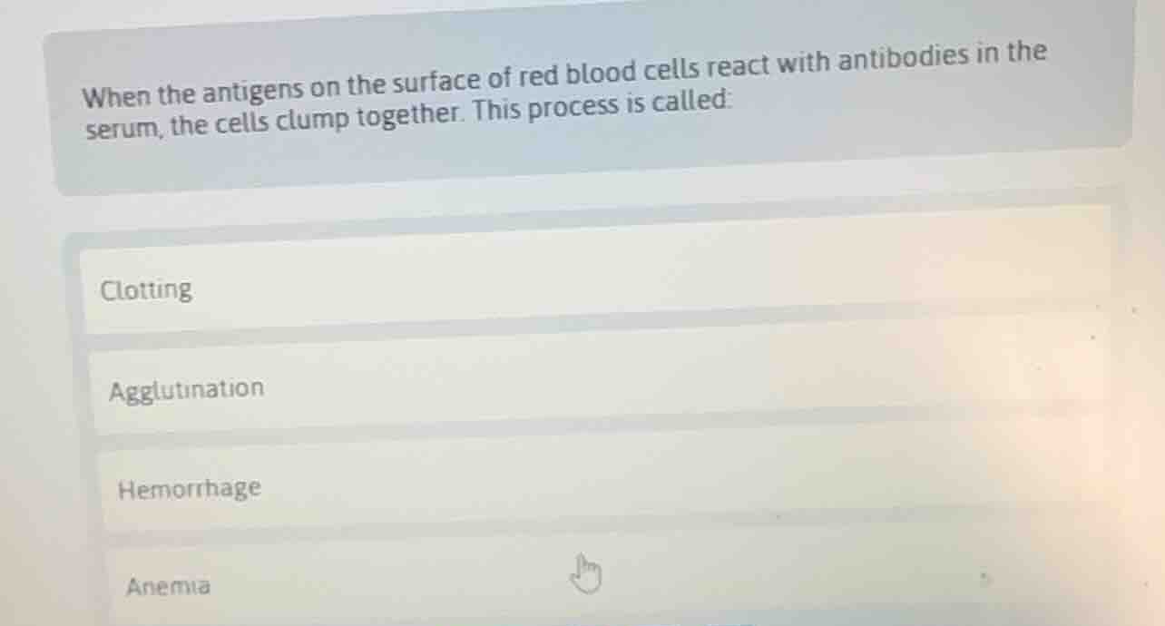 when the antigens on the surface of red blood cells react with antibodi…