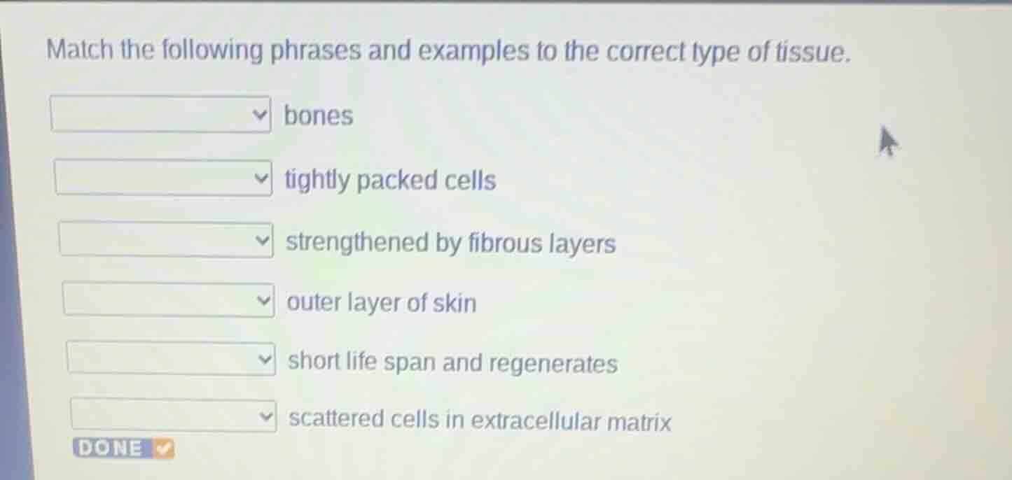 match the following phrases and examples to the correct type of tissue.…
