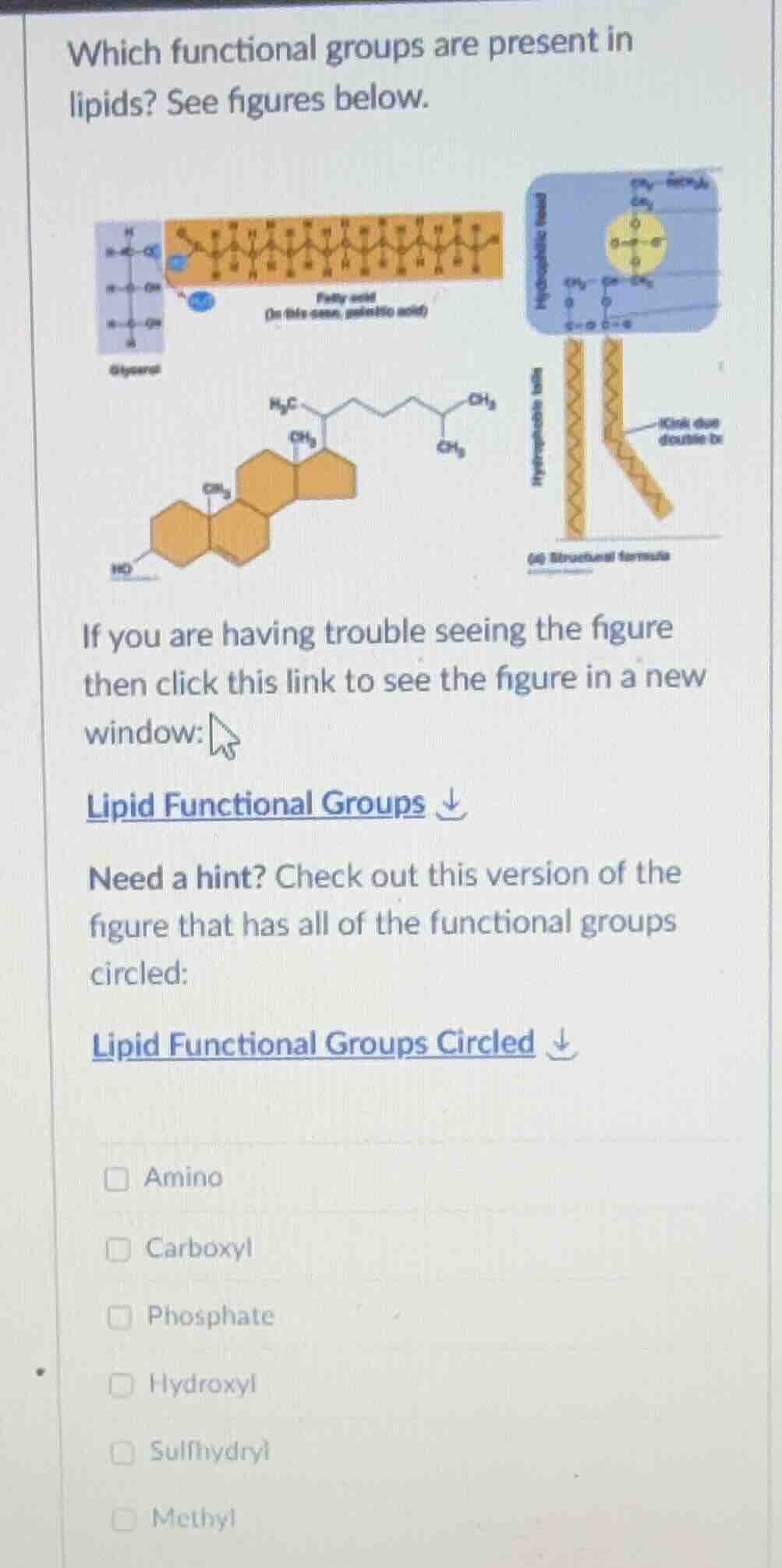 which functional groups are present in lipids? see figures below. if yo…