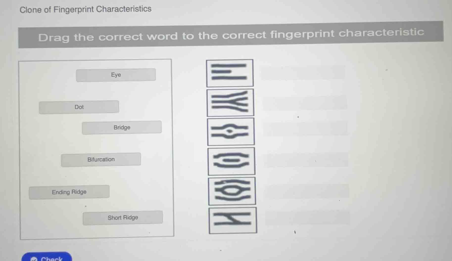 clone of fingerprint characteristics drag the correct word to the corre…