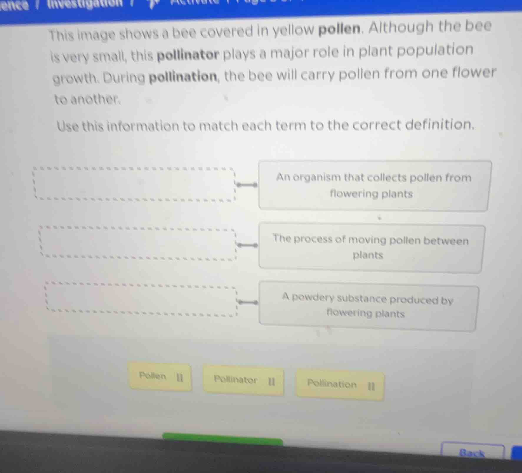 this image shows a bee covered in yellow pollen. although the bee is ve…