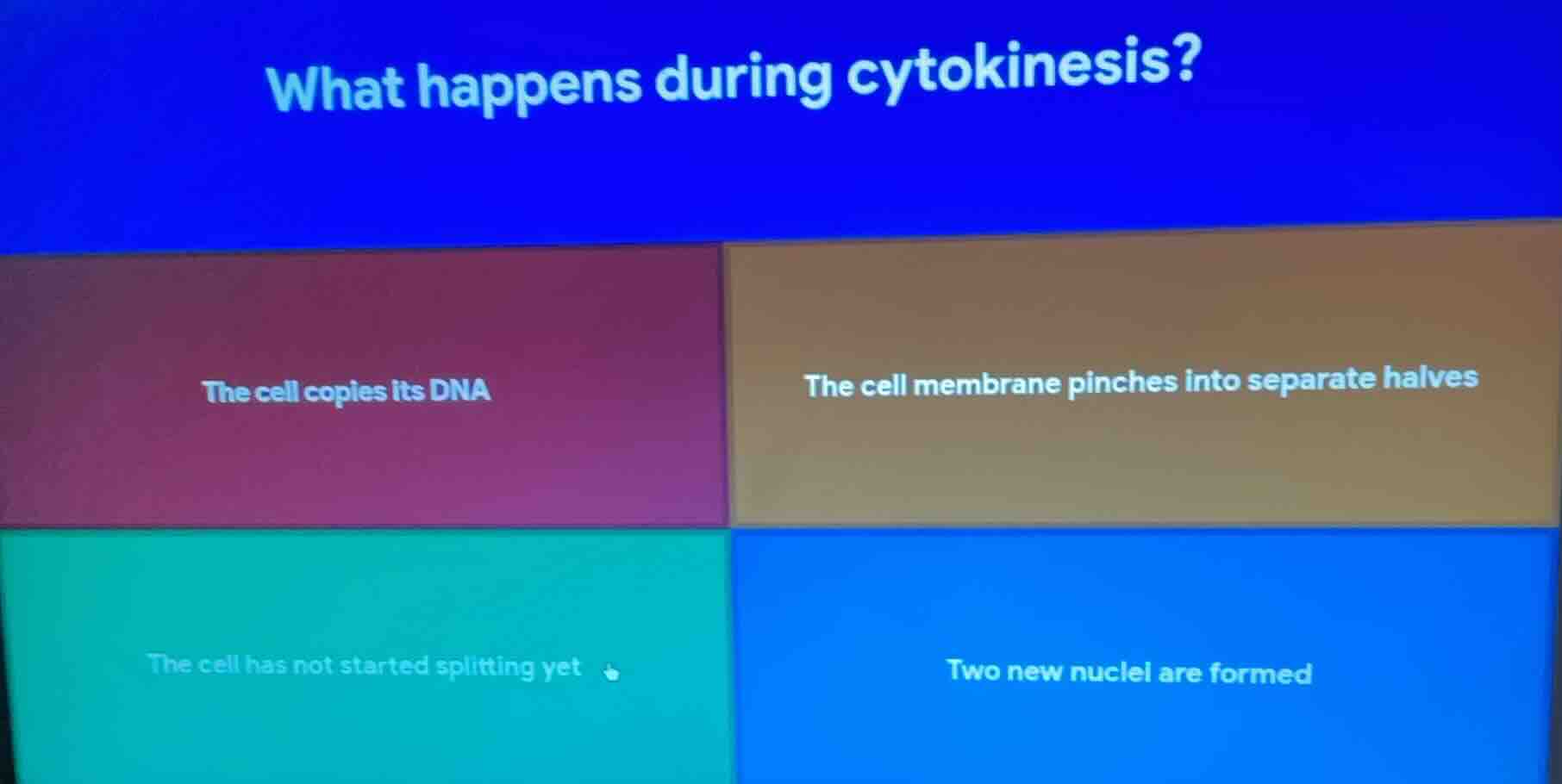 what happens during cytokinesis? the cell copies its dna the cell membr…