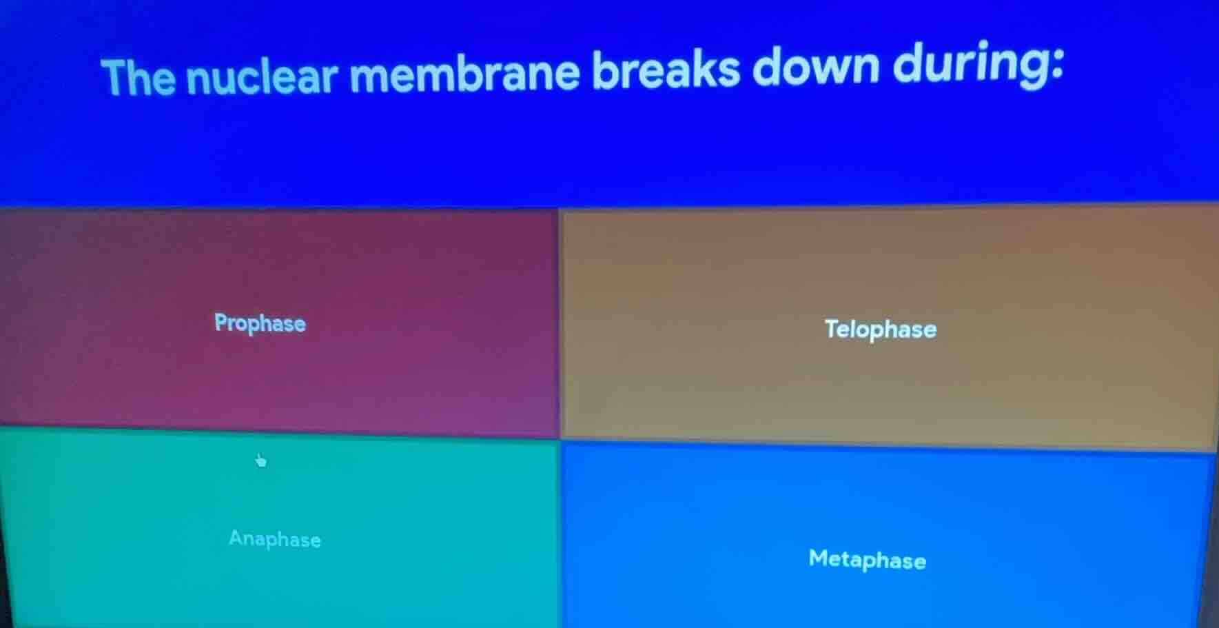 the nuclear membrane breaks down during: prophase telophase anaphase me…
