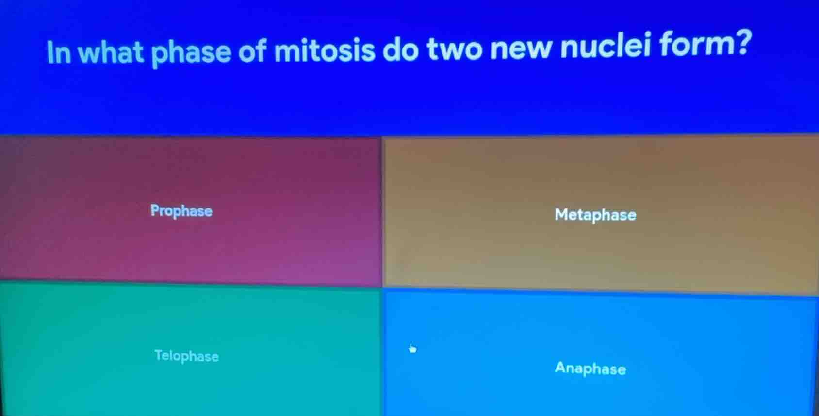 in what phase of mitosis do two new nuclei form? prophase metaphase tel…