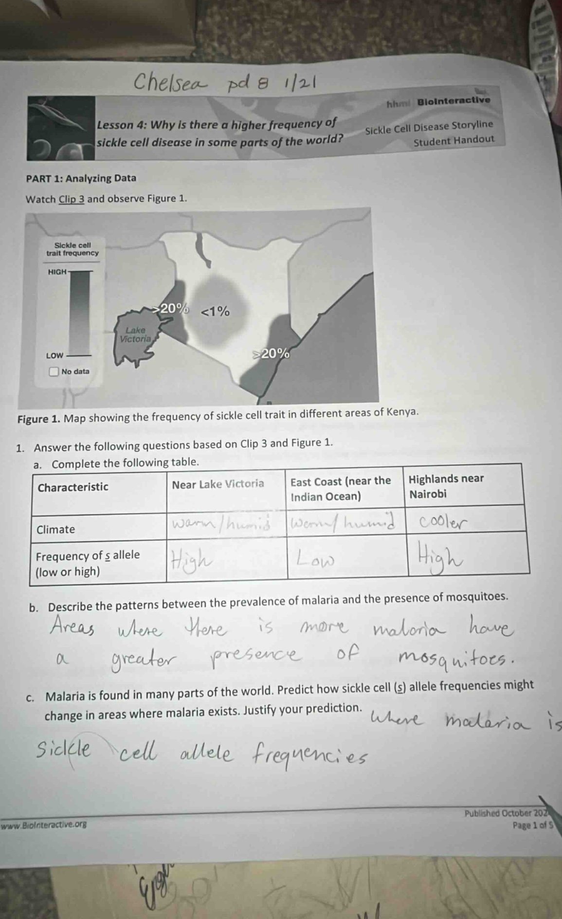 chelsea pd 8 1/21 lesson 4: why is there a higher frequency of sickle c…