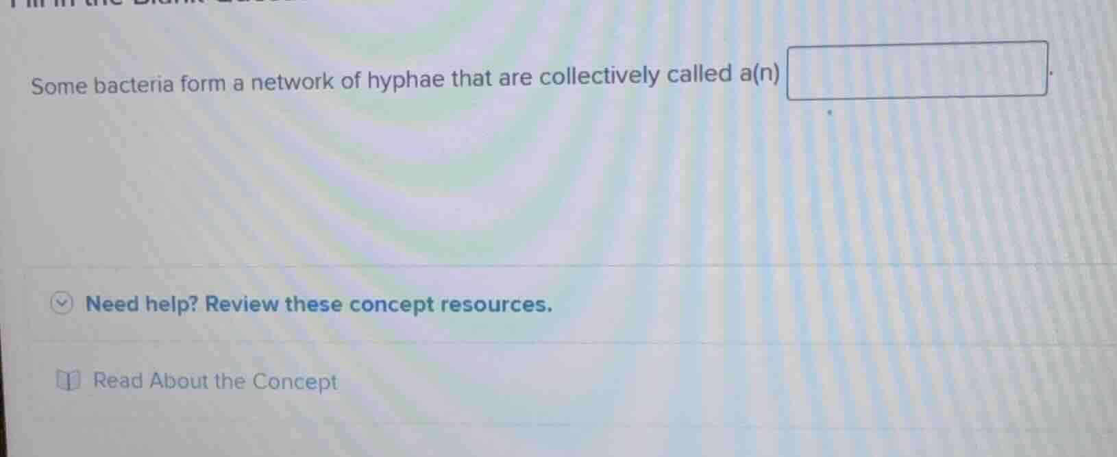 some bacteria form a network of hyphae that are collectively called a(n…