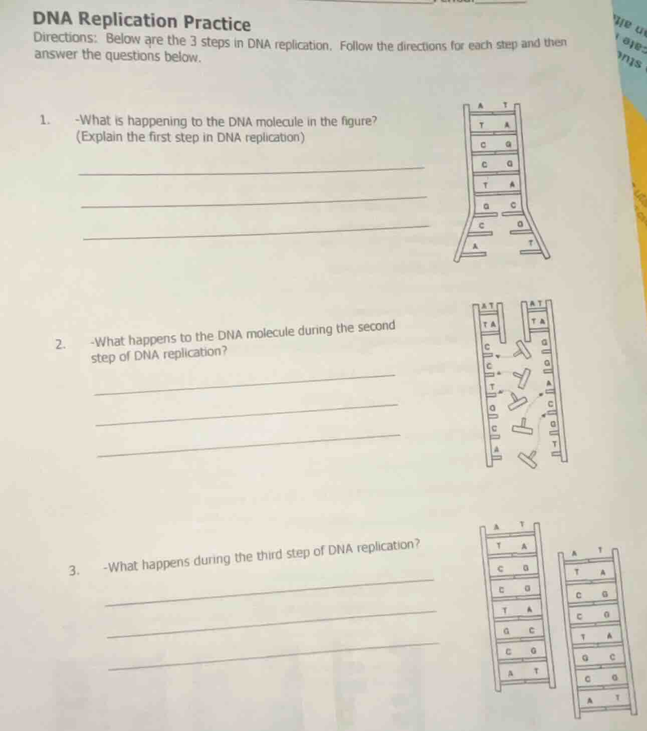 dna replication practice directions: below are the 3 steps in dna repli…