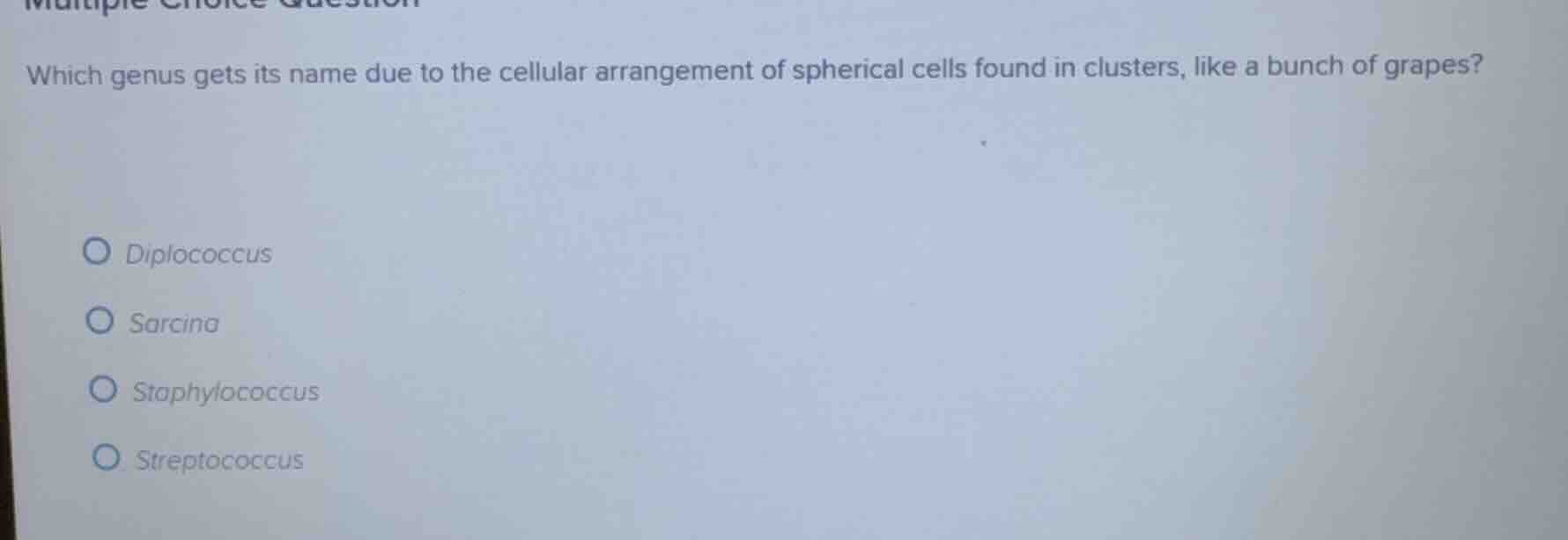 which genus gets its name due to the cellular arrangement of spherical …