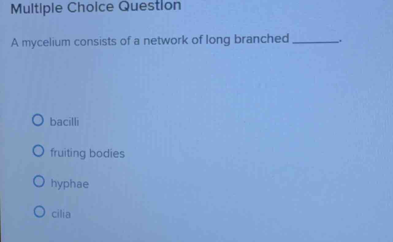 multiple choice question a mycelium consists of a network of long branc…