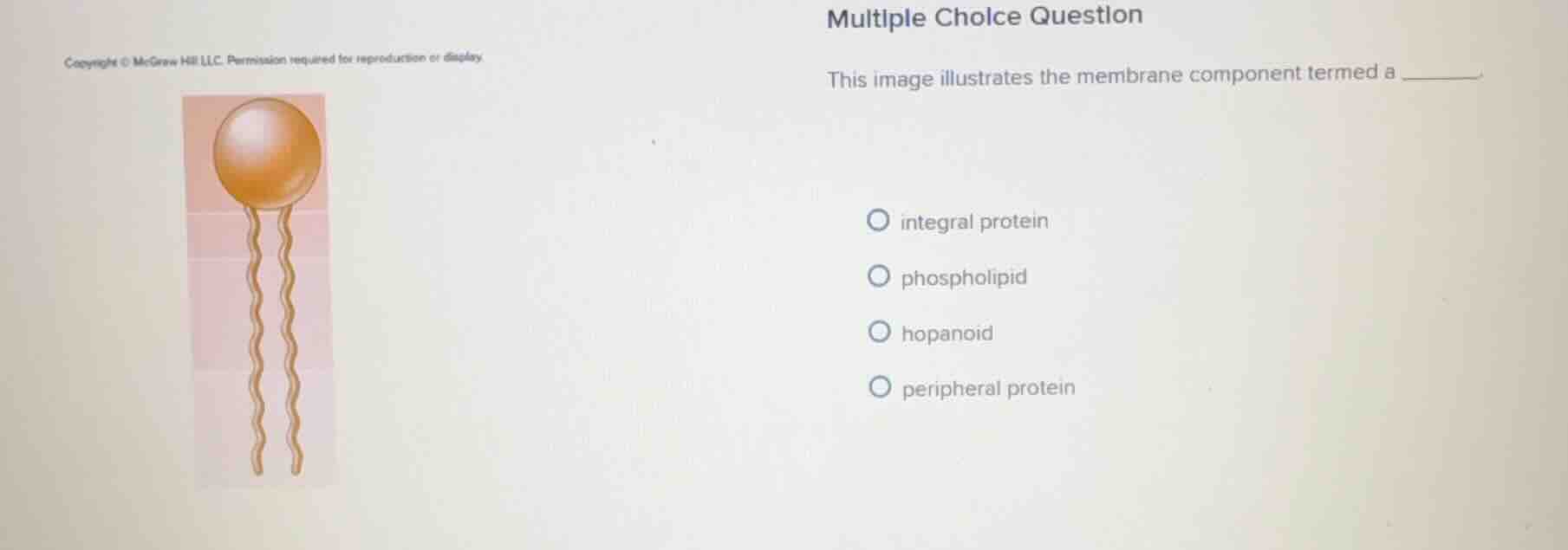 multiple choice question this image illustrates the membrane component …
