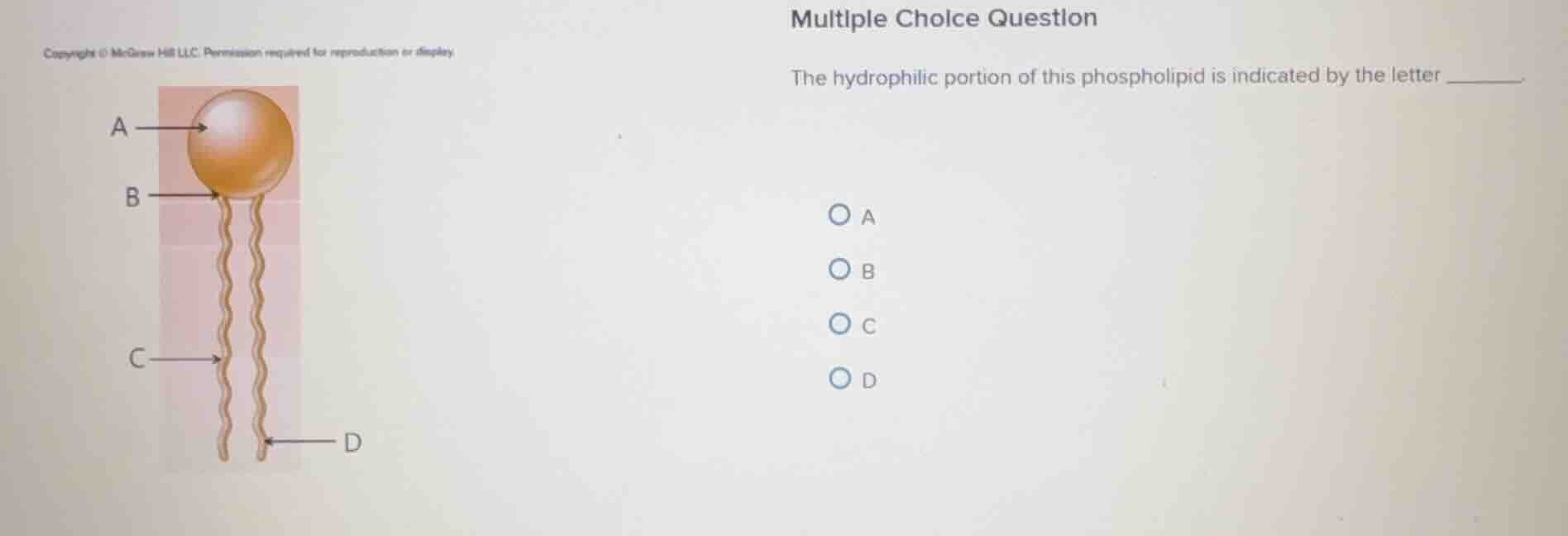 multiple choice question the hydrophilic portion of this phospholipid i…
