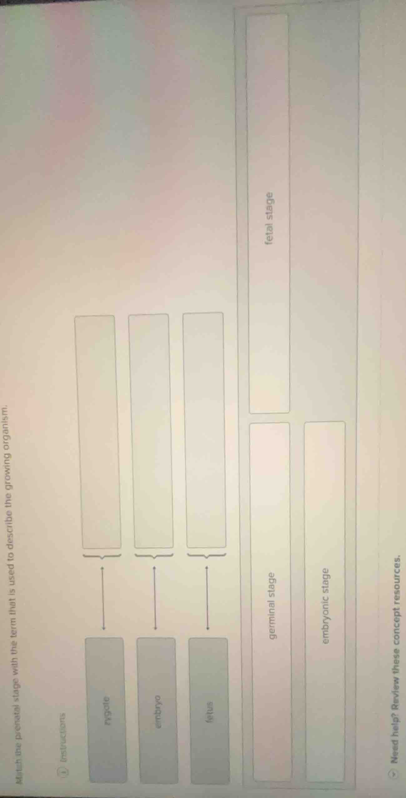 match the prenatal stage with the term that is used to describe the gro…