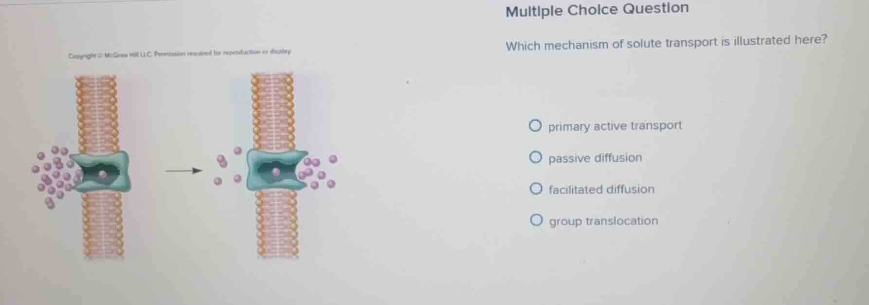 multiple choice question which mechanism of solute transport is illustr…