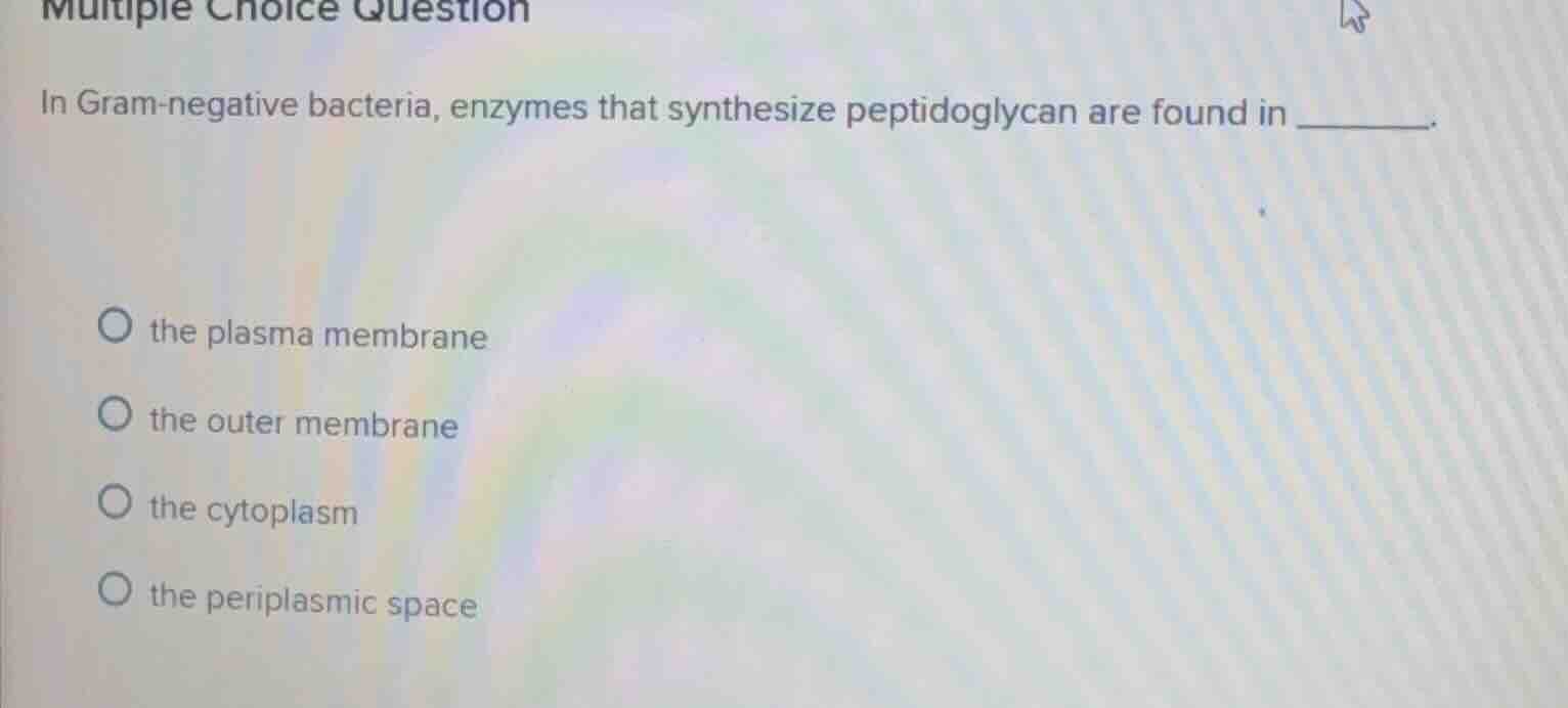 multiple choice question in gram-negative bacteria, enzymes that synthe…
