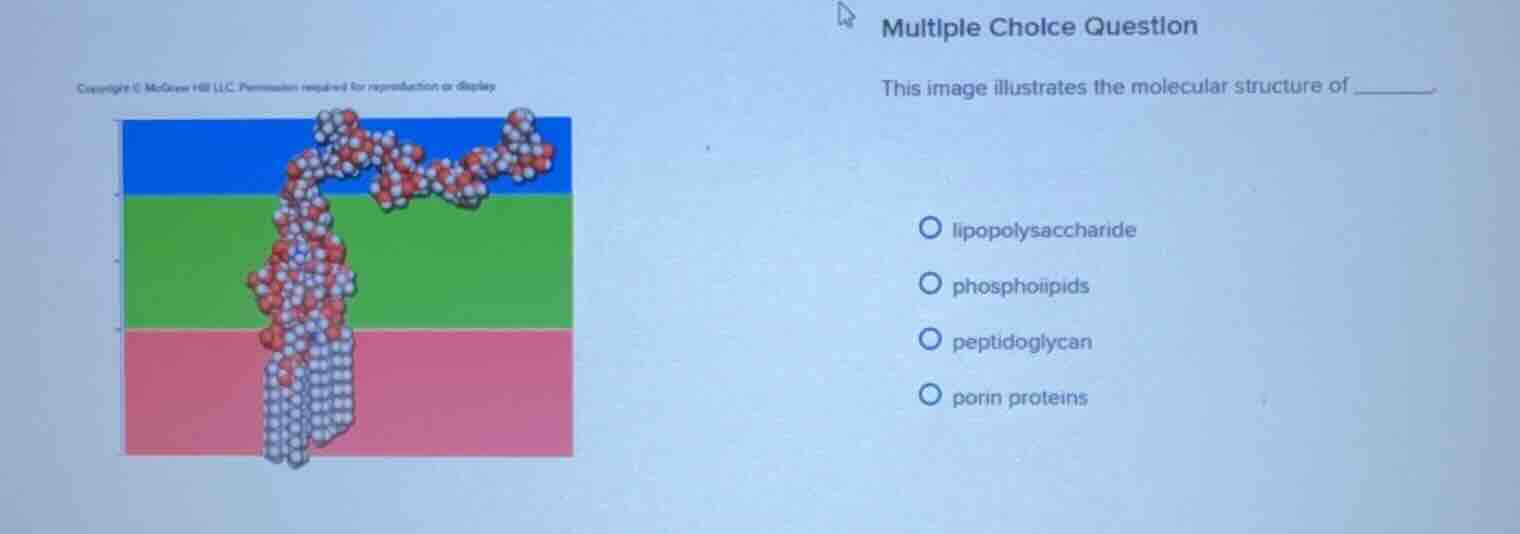 multiple choice question this image illustrates the molecular structure…