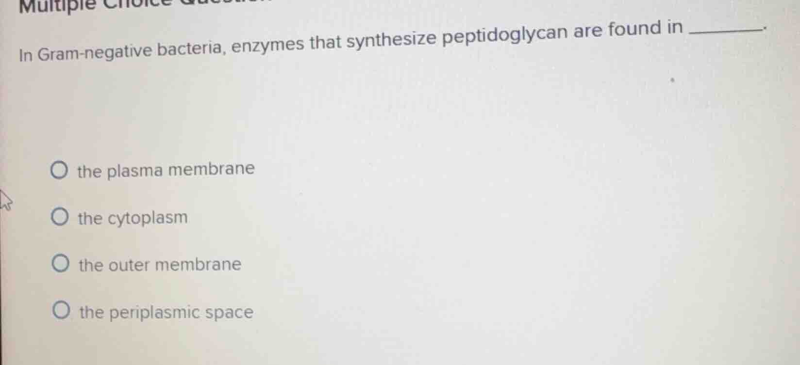 multiple choice question in gram-negative bacteria, enzymes that synthe…