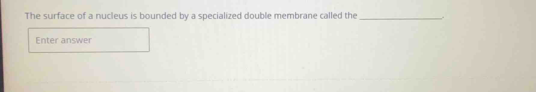 the surface of a nucleus is bounded by a specialized double membrane ca…