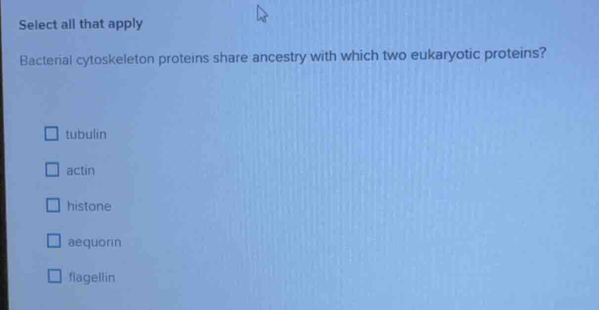 select all that apply bacterial cytoskeleton proteins share ancestry wi…