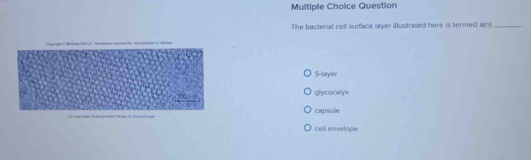 multiple choice question the bacterial cell surface layer illustrated h…