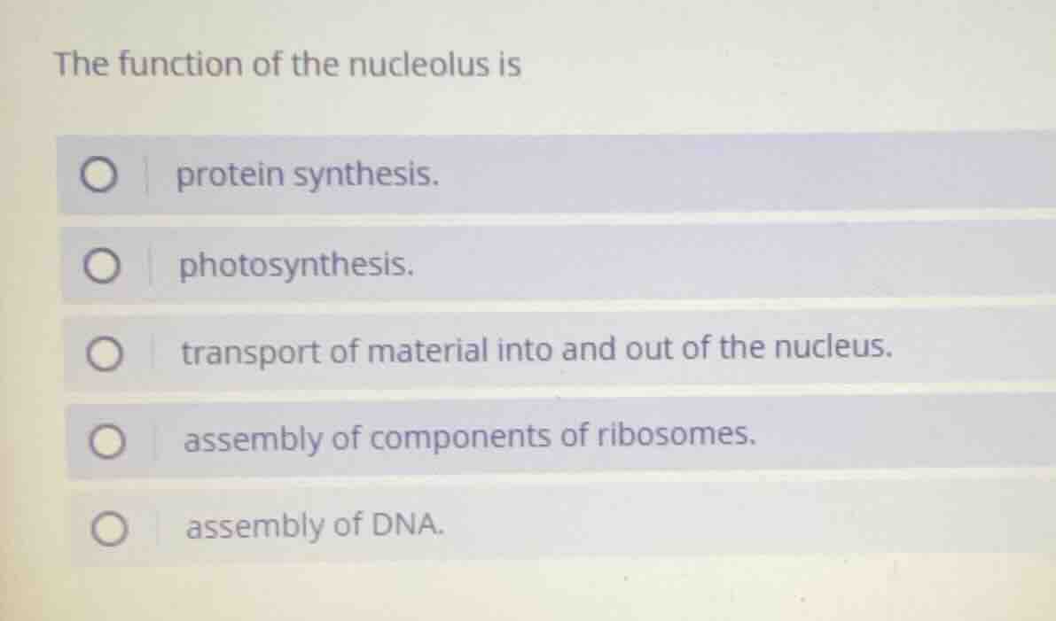 the function of the nucleolus is protein synthesis. photosynthesis. tra…