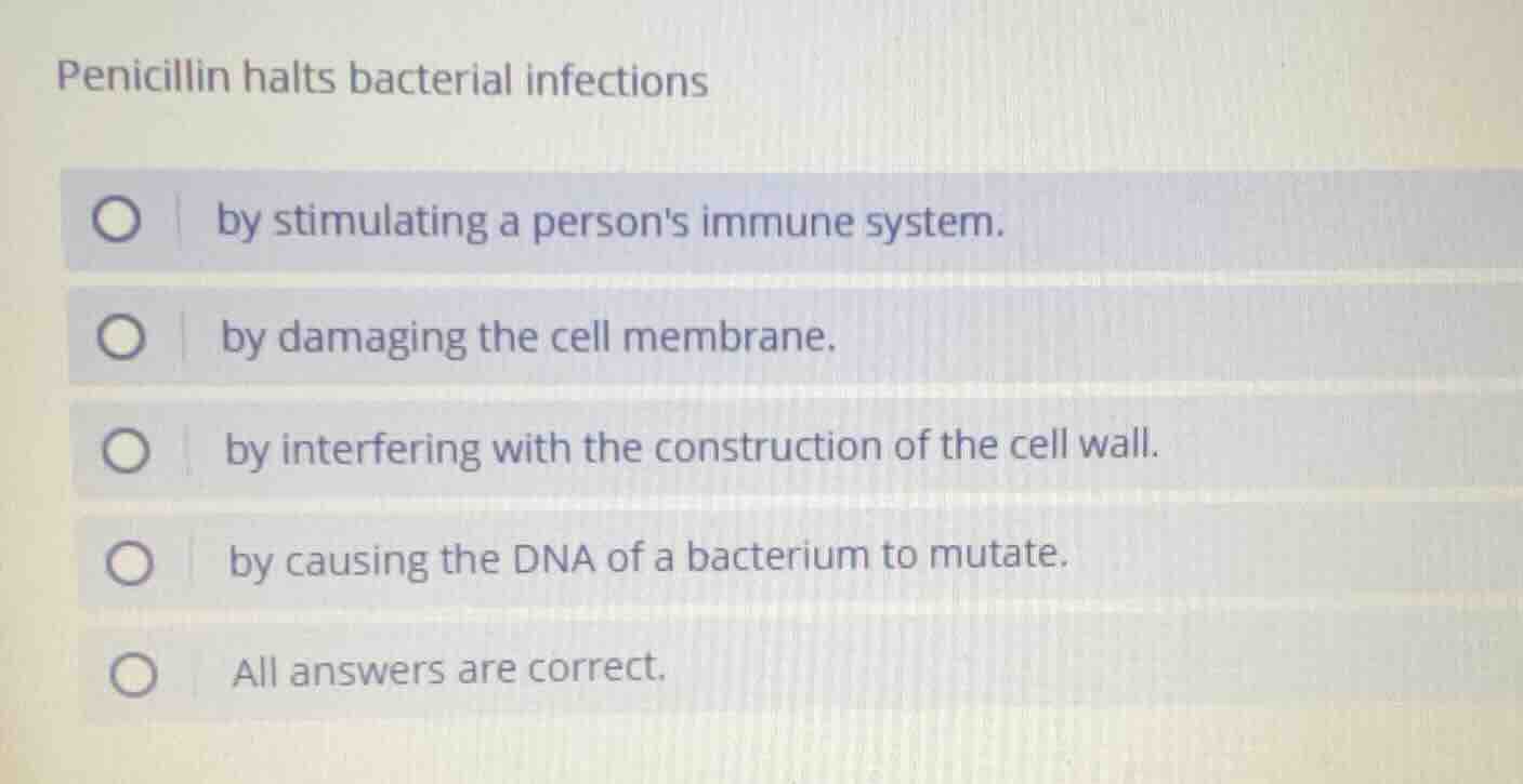 penicillin halts bacterial infections by stimulating a persons immune s…