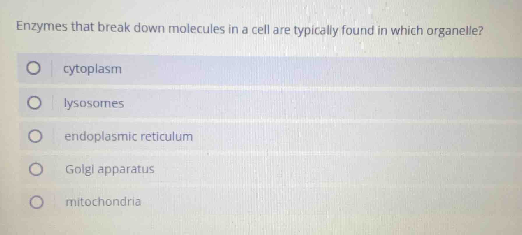 enzymes that break down molecules in a cell are typically found in whic…