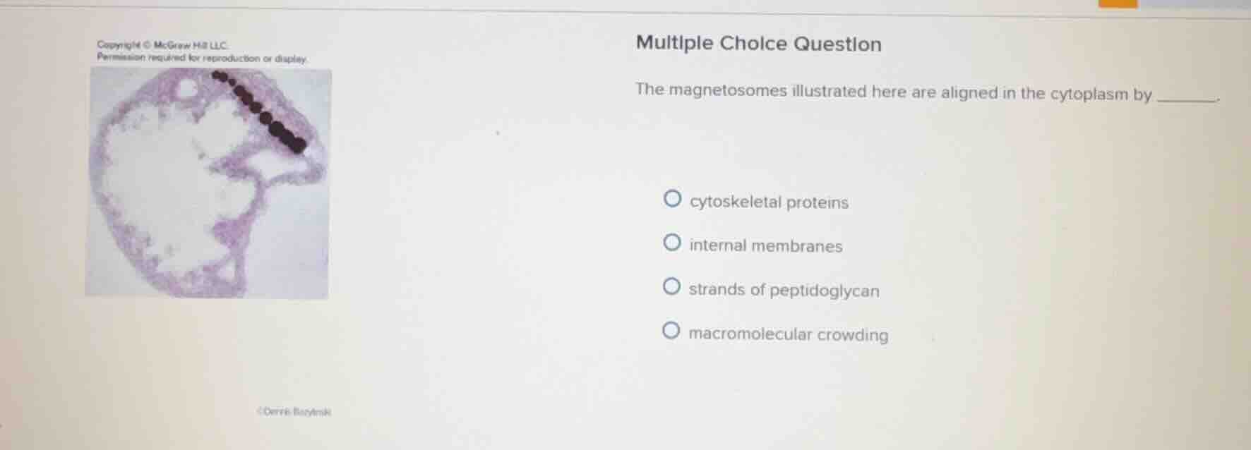 multiple choice question the magnetosomes illustrated here are aligned …