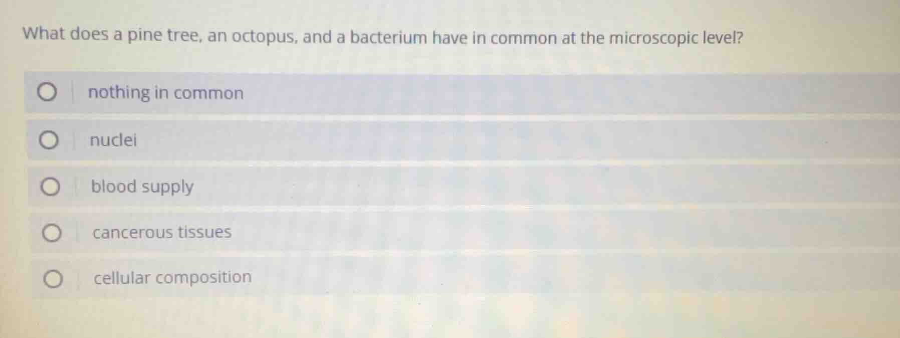 what does a pine tree, an octopus, and a bacterium have in common at th…