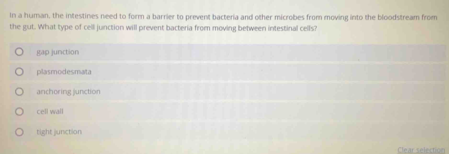 in a human, the intestines need to form a barrier to prevent bacteria a…