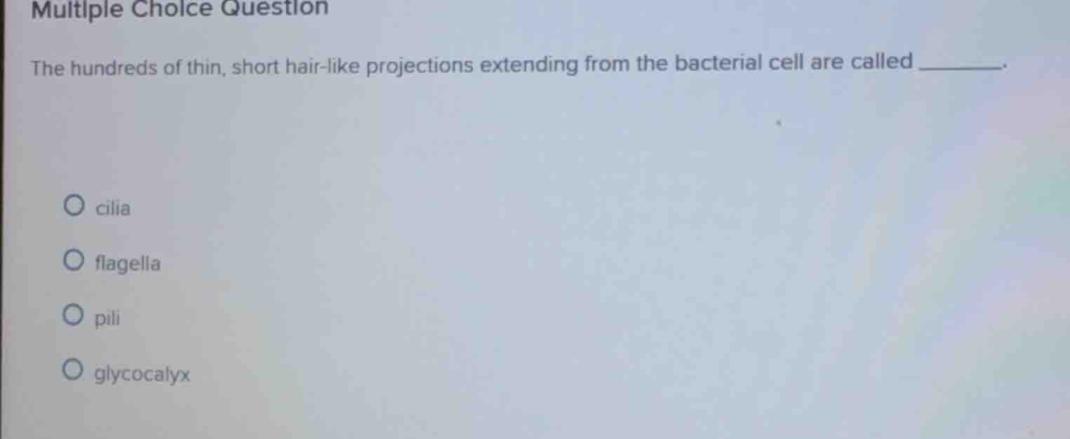 multiple choice question the hundreds of thin, short hair - like projec…