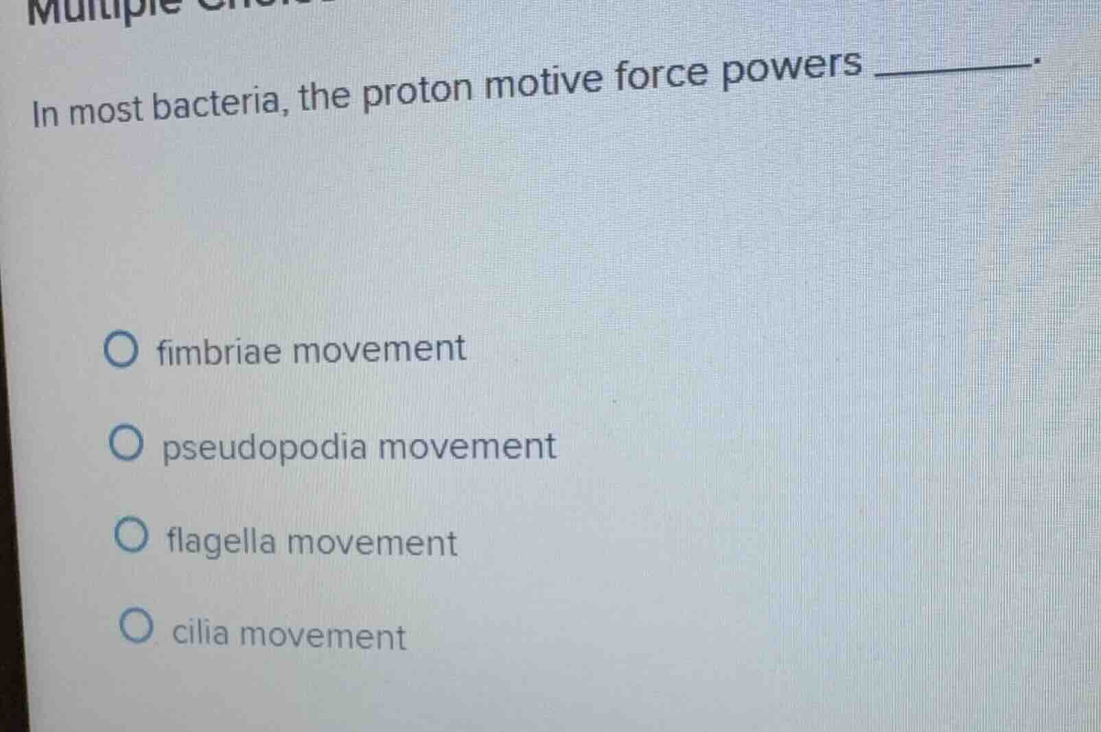 in most bacteria, the proton motive force powers ______. fimbriae movem…