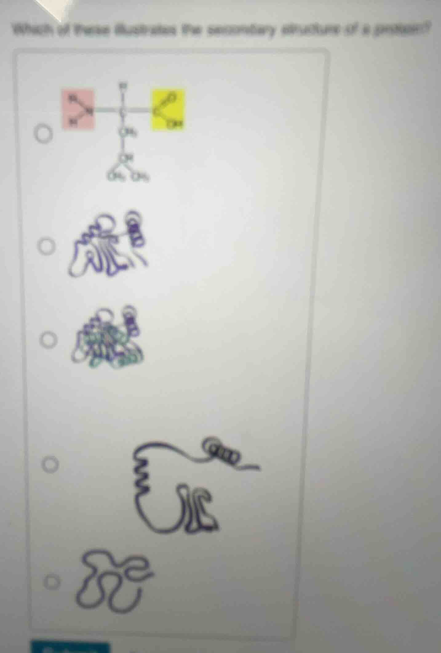 which of these illustrates the secondary structure of a protein?