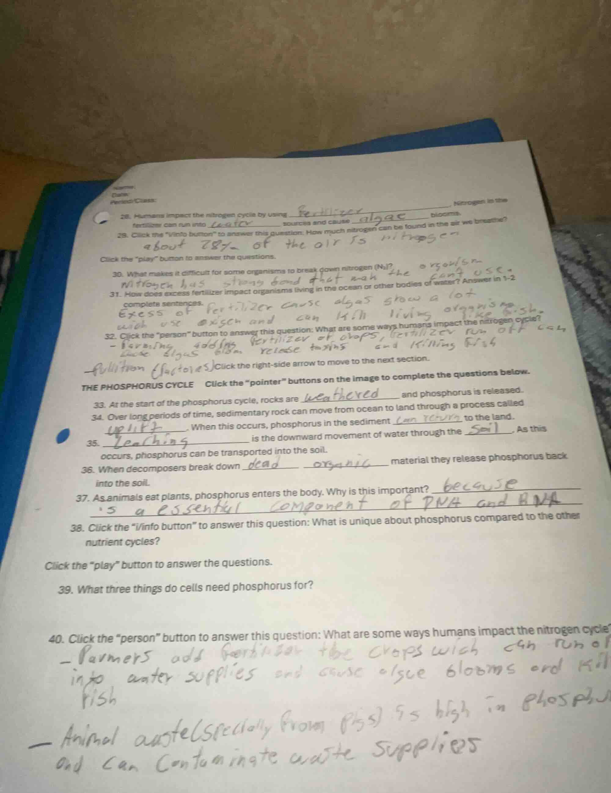 28. humans impact the nitrogen cycle by using ____, nitrogen in the fer…