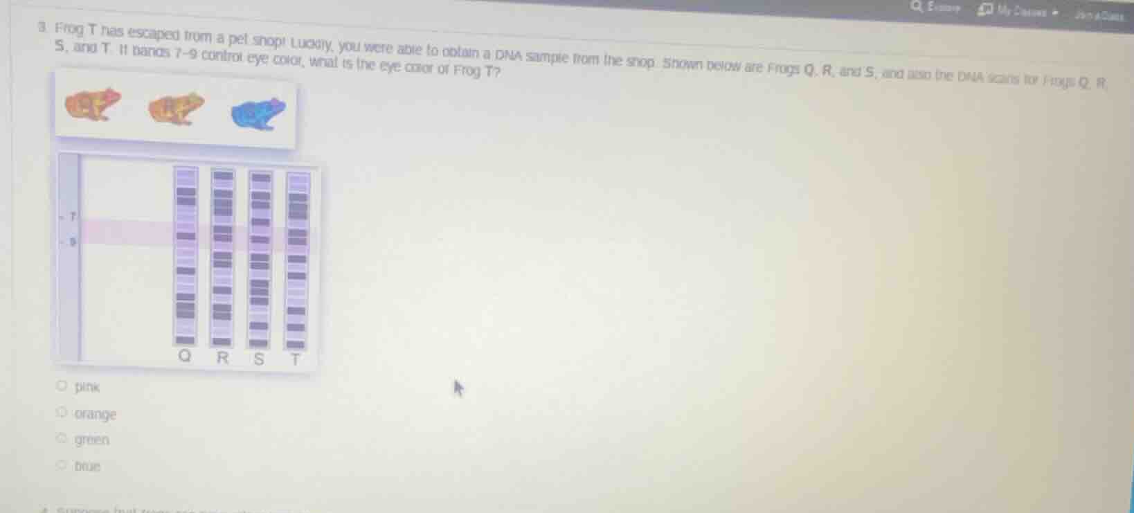 3. frog t has escaped from a pet shop! luckily, you were able to obtain…