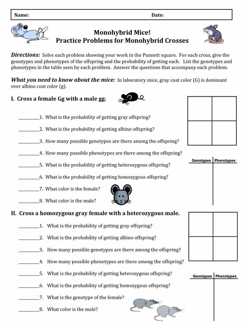 name: date: monohybrid mice! practice problems for monohybrid crosses d…