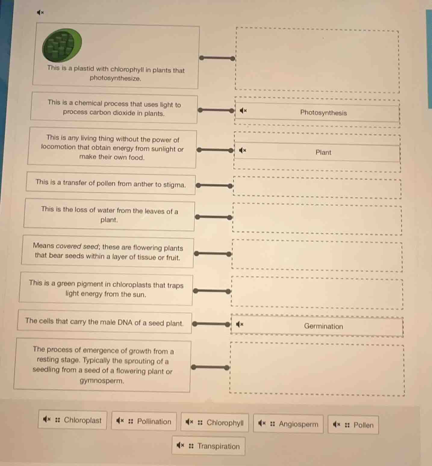 this is a plastid with chlorophyll in plants that photosynthesize. this…